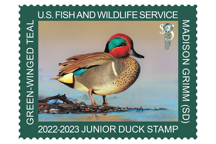 Jr. Duck Stamp Program