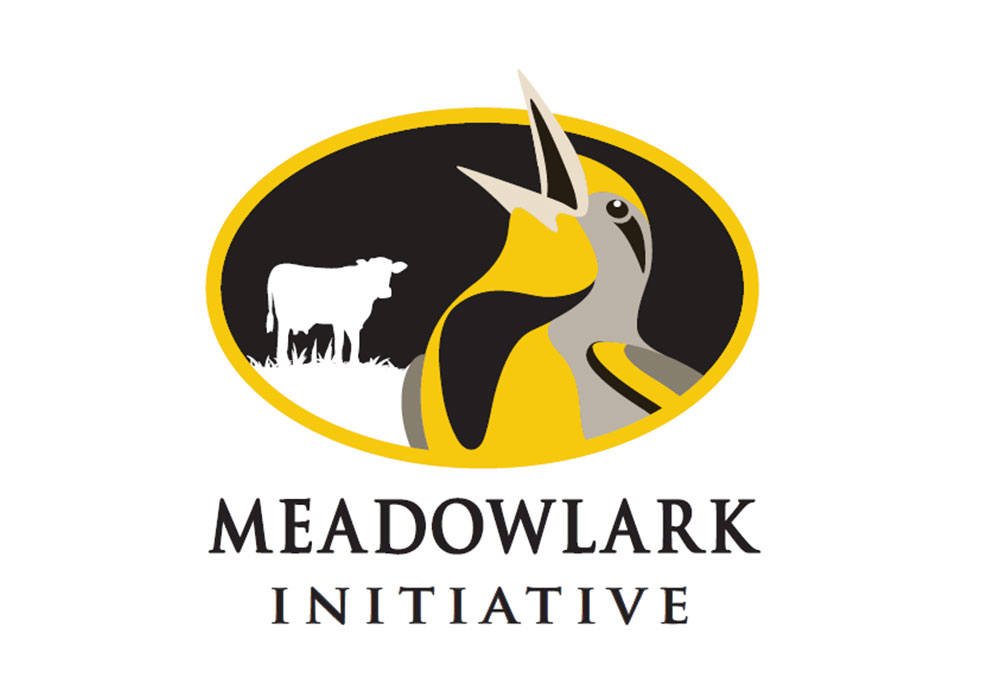 Meadowlark Initiative